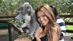Asians smiling koalas