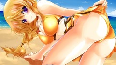 Ass Anime Beaches blondes anime girls infinite stratos purple 