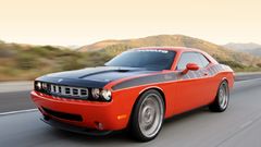 Ass best 2010 high dat Resolution