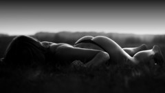 Ass fields grayscale lying