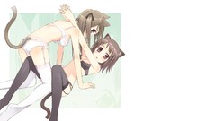 Ass white background stockings anime girls lingerie bra 