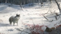 Assassins creed 3 fantasy art