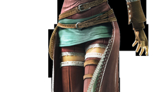 Assassins creed brotherhood