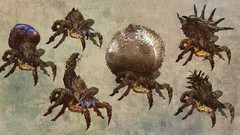 Assassins the witcher the witcher 2 assassins of kings artwork 