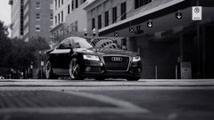 Audi cars grayscale