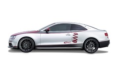 Audi tuning studio audi s5 white cars luxury sport cars Eibach 