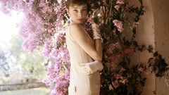 Audrey Hepburn bougainvillea