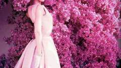Audrey Hepburn bougainvillea