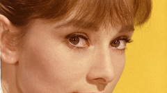 Audrey hepburn Celebrity