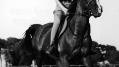 Audrey Hepburn Horses grayscale