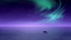 Aurora borealis Alaska snow