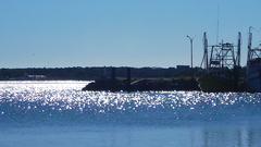 Aussie trip part high