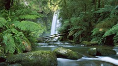 Australia falls national park forests