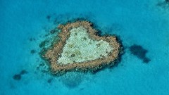 Australia Hearts reef