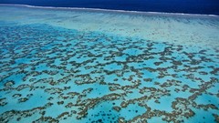 Australia Islands reef coral