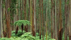 Australia national park