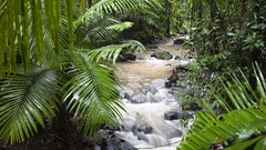Australia north national park