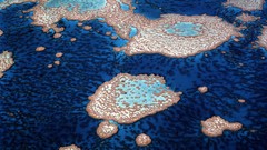 Australia reef
