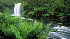 Australia waterfalls