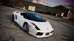 Auto lamborghini gallardo