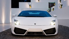 Auto Lamborghini lamborghini gallardo IMSA Lamborghini Gallardo 