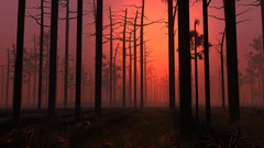 Autum season all abstract