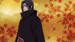 Autumn akatsuki uchiha itachi