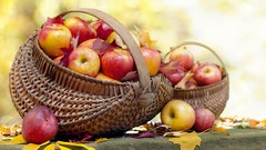 Autumn apples fruits baskets fallen leaves
