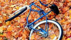 Autumn Bicycles