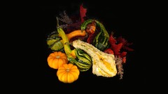 Autumn black background vegetables