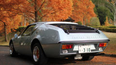 Autumn cars Alpine (cars)