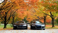 Autumn cars Audi R8 V10