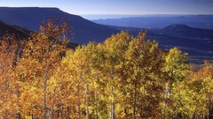 Autumn Colorado grand