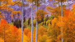 Autumn Colorado roads