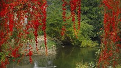 Autumn different bloom