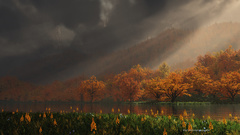 Autumn digital art widescreen