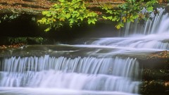 Autumn falls illinois