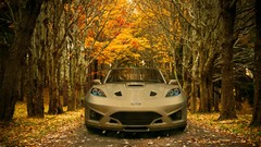 Autumn Ford