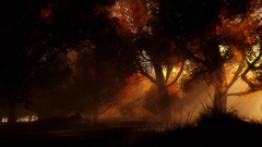 Autumn forest sun Rays