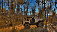 Autumn forests cars vehicles