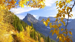 Autumn forests Mountains Landscapes