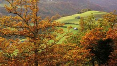 Autumn France Saints (religion) Basque county (Spain)
