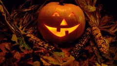 Autumn glow Halloween pumpkins