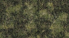 Autumn grass Textures