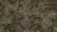 Autumn grass Textures