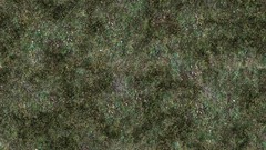 Autumn grass Textures