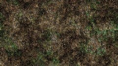 Autumn grass Textures