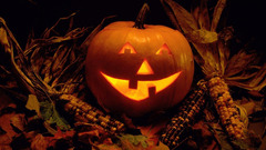 Autumn Halloween corn pumpkins