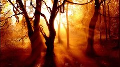 Autumn here share walls ) With come