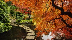 Autumn Islands vancouver British Columbia